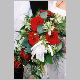 F1000038.html