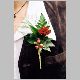 F1060016.html